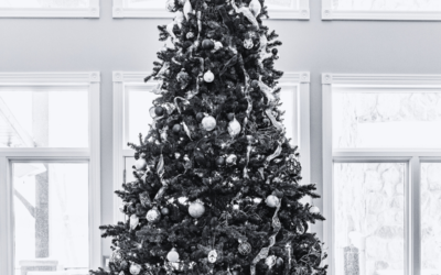 December 2023 -Special Edition